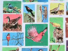 Load image into Gallery viewer, 1960s 1970s Retro Fabric - Cotton - Photo Fabric Bird Identification - Fabric Remnant - 6CP25
