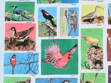 Load image into Gallery viewer, 1960s 1970s Retro Fabric - Cotton - Photo Fabric Bird Identification - Fabric Remnant - 6CP25