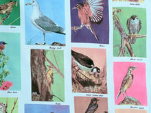 Load image into Gallery viewer, 1960s 1970s Retro Fabric - Cotton - Photo Fabric Bird Identification - Fabric Remnant - 6CP25