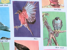 Load image into Gallery viewer, 1960s 1970s Retro Fabric - Cotton - Photo Fabric Bird Identification - Fabric Remnant - 6CP25