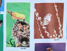 Load image into Gallery viewer, 1960s 1970s Retro Fabric - Cotton - Photo Fabric Bird Identification - Fabric Remnant - 6CP25