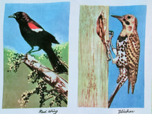 Load image into Gallery viewer, 1960s 1970s Retro Fabric - Cotton - Photo Fabric Bird Identification - Fabric Remnant - 6CP25
