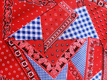 Load image into Gallery viewer, 1960s 1970s Retro Fabric - Cotton - Bandana - Red, Blue - By the Yard - 6C110
